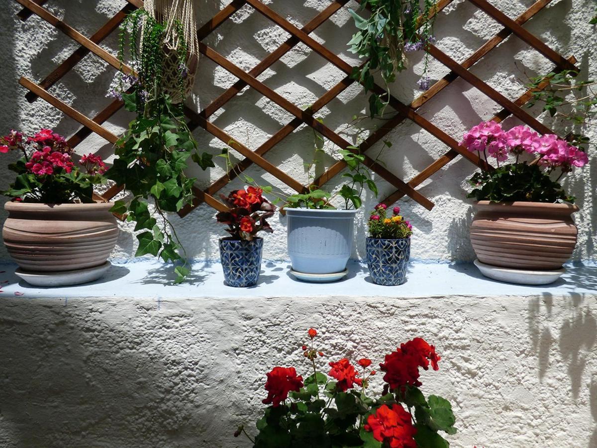 Tasoula Guest House 아다마스 외부 사진
